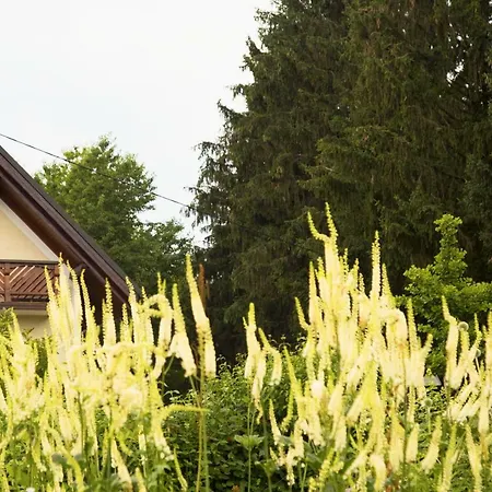 公寓 Schlossferienhaus Wies